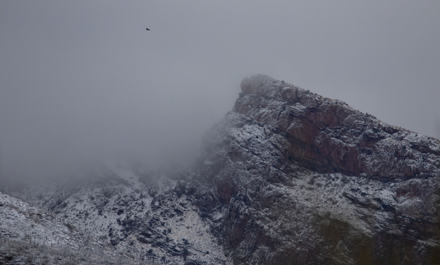 Snow in Tucson